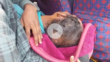 लोहरदगा: पेशरार में स्कूटी की टक्कर से दो आदिवासी युवक घायल, पुलिस पर मारपीट का आरोप