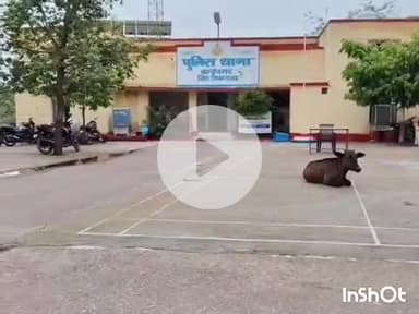 बल्देवगढ़: ग्राम बनियानी में दो लोगों ने एक महिला के साथ मारपीट की, पीड़िता ने थाने में रिपोर्ट दर्ज कराई