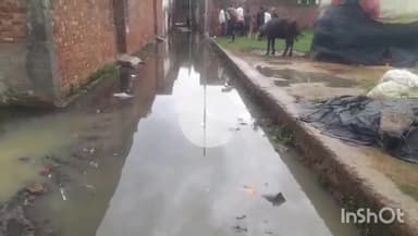 संभल: संभल के गायत्री कॉलोनी में बारिश के बाद पानी की निकासी न होने के कारण मोहल्ले में भरा पानी,नहीं है निकासी#Jan samasya