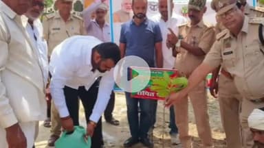 सुल्तानपुर: जयसिंहपुर के मिश्रौली में वन महोत्सव का आयोजन, जनप्रतिनिधियों ने किया पौधरोपण