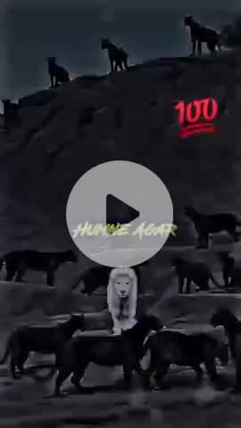 #श्रीकृष्ण #maavindhyawasini #श्रीराधे #राधेकृष्ण #radhe #hanuman #ram #hari #narayan #sitaram #ishwar #bhagvan #shiv