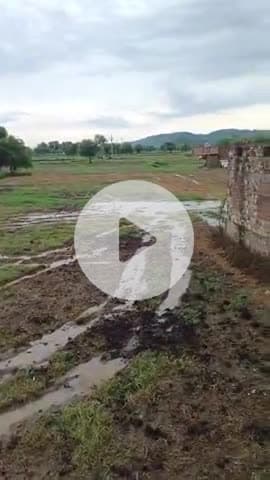 badoli gaon m der Raat barish se pol Makan per luma girne ki sambhavna Makan mein ho sakta hai nuksan