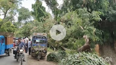 गरखा: गड़खा-खोदाईबाग़ मार्ग पर पेड़ गिरने से टेंपो क्षतिग्रस्त, कोई हताहत नहीं