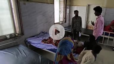 बीना: ग्राम हासल खेड़ी में सोते समय 80 वर्षीय वृद्ध को सांप ने डंसा, गंभीर हालत में सागर ज़िला अस्पताल रेफर