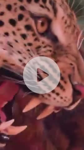 #श्रीकृष्ण #maavindhyawasini #श्रीराधे #राधेकृष्ण #radhe #hanuman #ram #hari #narayan #sitaram #ishwar #bhagvan #shiv