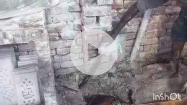 आगरा: राजेश्वर मंदिर के पास गोपी नगर में निकला सांप, पुलिस की टीम ने किया रेस्क्यू