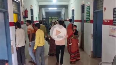 मऊरानीपुर: मऊरानीपुर में पेट्रोल पंप के पास अचानक बंदर सामने आ जाने से सवारियों से भरी टैक्सी पलटी, घटना सीसीटीवी कैमरे में कैद