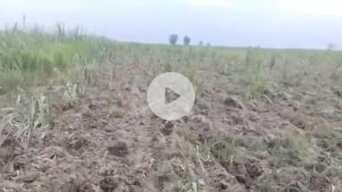 पूरनपुर: सिद्धनगर में भाजपा महिला मोर्चा अध्यक्ष की आत्मदाह की चेतावनी के बाद 5 लोगों पर दर्ज हुआ मुकदमा