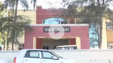 ऊना: ऊना वन मंडल में मानसून सीजन में 61 हेक्टेयर भूमि पर 2.80 लाख पौधे रोपे जाएंगे: डीएफओ