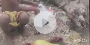 फतुहा: किसमिरिया गांव के पास महतमाइन नदी में डूबने से 54 वर्षीय महिला की मौत