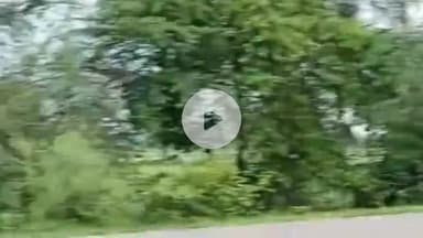 टेहरोली: धवाकर में ठेकेदार की मनमानी से किसान की फसल हुई चौपट, पीआरबी पर की गई शिकायत