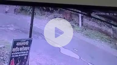 झांसी: पिछोर में कुत्ते की मौत मामले में थाने पहुंची युवतियां, कहा- स्कूटी सवार ने कुत्ते को तब तक घसीटा, जब तक वह मर नहीं गया