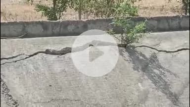 मोहनिया: कैमूर जिले के कर्मनाशा नहर का ₹92 करोड़ में होना था जीर्णोद्धार, आधी राशि खर्च के बावजूद काम नहीं हो पाया