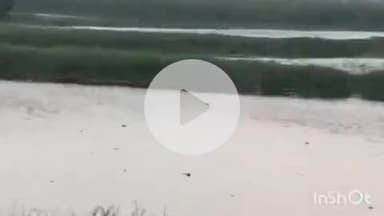 जानसठ: मीरापुर के गांव भूम्मा में ग्रामीणों ने दबंगों पर सरकारी तालाब पर अवैध कब्जा करने का लगाया आरोप, किया विरोध प्रदर्शन