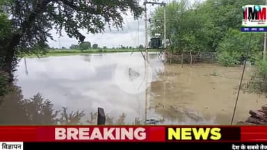 प्रधानमंत्री सड़क योजना निर्माण में नाली निर्माण व पुलिया न होने के कारण से सिहेरा हलका 50 में 100 एकण फसल भराव