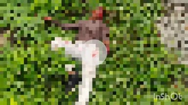 सासाराम: सासाराम के रेलवे स्टेशन पर 2 जुलाई को ट्रेन के चपेट में आने से व्यक्ति हुए जख्मी, मंगलवार को सदर अस्पताल में हुई मौत