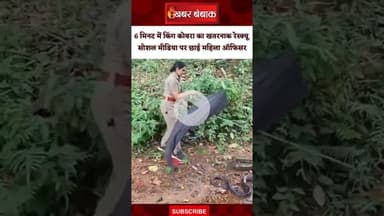 6 मिनट में किंग कोबरा का खतरनाक रेस्क्यू, सोशल मीडिया पर छाई महिला ऑफिसर | Kerala Viral Video