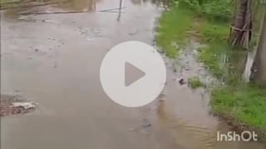 बारां: कोटा रोड नागेश्वर कॉलोनी में जानलेवा बने गहरे गड्ढे, दंपति स्कूटी से गिरकर हुए घायल