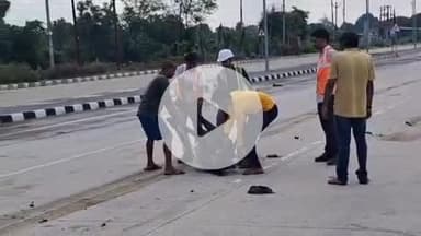 झांसी: बरुआसागर के फोरलेन हाईवे पर बैठी अन्ना गोवंश को अज्ञात वाहन ने मारी टक्कर, तीन गायों की हुई मौत, वाहन चालक फरार