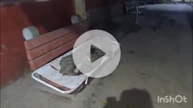 आरा: दानापुर-पीडीडीयू रेलखंड पर कारीसाथ एवं बिहिया स्टेशन के बीच डाउन लाइन पर सोमवार शाम ट्रेन की चपेट में छात्र की मौत