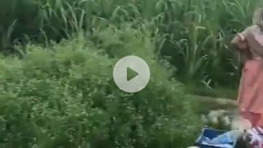 अमरोहा: अमरोहा में पानी का अकाल, जोया में भीषण गर्मी में तरसे लोग, बाल्टियों से धो रहे पानी, वीडियो हुआ वायरल