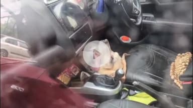 मथुरा: वृंदावन में तड़प तड़प कर पालतू डॉग की कार के अंदर हुई मौत, डॉग को बचाने की कोशिश का वीडियो हुआ वायरल