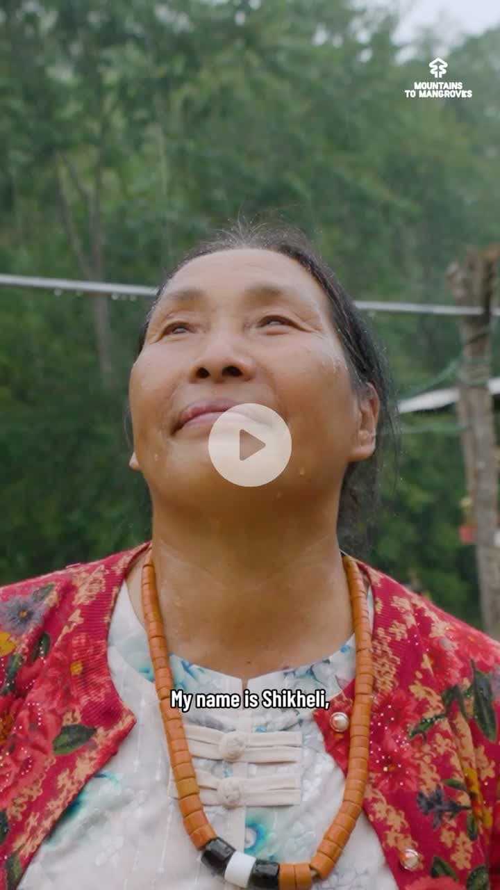 From long torchlight walks for water to leading forest restoration in Nagaland #mountainstomangroves