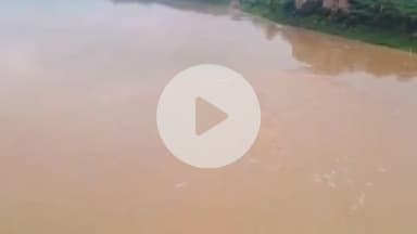 औरैया: यमुना के जलस्तर में कमी आने पर ग्रामीणों ने ली राहत की सांस, केंद्रीय जल आयोग की टीम रख रही है नजर