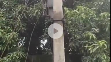 धनौरा: गांव भगवानपुर भूड़ में 11000 वोल्ट की विद्युत लाइन का तार टूटकर गिरा, ट्रैक्टर के पहिए जले; पालतू कुत्ते की मौत