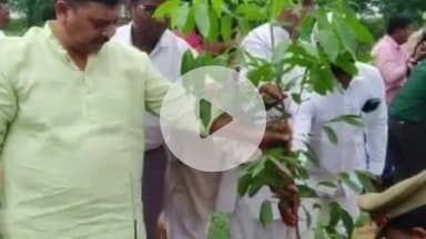 रमना में मंत्री रविन्द्र जायसवाल ने किया वृक्षारोपण, जिलापंचायत अध्यक्ष पूनम मौर्या और MLC धमेंद्र सिंह रहे शामिल