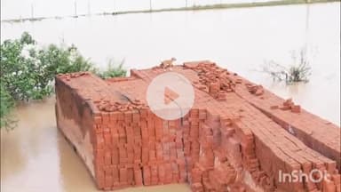 दुर्ग: थनौदा गांव में जलजमाव से हाहाकार, ईंट भट्ठा में फंसे स्ट्रीट डॉग की चीख-पुकार, प्रशासन से मदद की गुहार