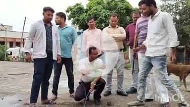 औरैया: दिबियापुर सामुदायिक स्वास्थ्य केंद्र के अधीक्षक डॉक्टर विजय आनंद ने वृक्षारोपण किया, मां के नाम एक वृक्ष लगाने की अपील की