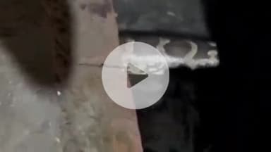 सुल्तानपुर: सुल्तानपुर में मस्जिद के पास नाले में दिखा अजगर, स्थानीय लोगों ने बनाई वीडियो, जो सोशल मीडिया पर हुई वायरल