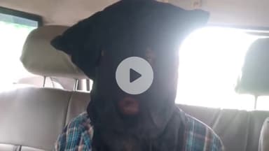 बलियापुर: बलियापुर पुलिस ने चोरी के मामले में एक युवक को जेल भेजा