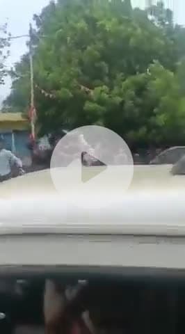 उतरौला: उतरौला कोतवाली अंतर्गत बक्सरिया में एक ढावे के सामने दो पक्षों के बीच जमकर हुई मारपीट, वीडियो हुआ वायरल