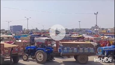 धार: बारिश के चलते धार कृषि उपज मंडी में फसलों की आवक में कमी