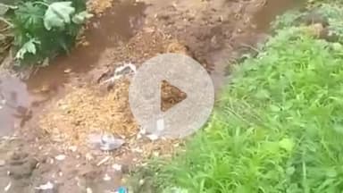 प्रभात पट्टन: नांदकुड़ी में घर के सामने गोबर का ढेर लगाने का विरोध करने पर महिला से मारपीट, शिकायत दर्ज