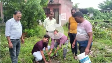 सुल्तानपुर: बल्दीराय सीएचसी में मातृ सम्मान के साथ पर्यावरण संरक्षण की ओर कदम, हरियाली का संदेश