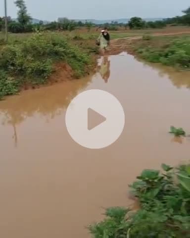 चंदला: चिल्मनपुरवा में स्कूल का रास्ता बना जानलेवा नाला, वीडियो वायरल