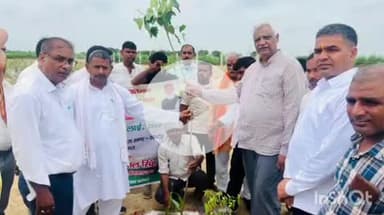 एत्मादपुर: वृक्षारोपण महा अभियान के तहत विधायक ने रहनकला टोल के पास और विधानसभा के अन्य गांवों में किया वृक्षारोपण