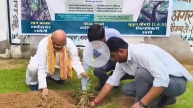 टेहरोली: बमनुआ में दर्जा प्राप्त राज्यमंत्री एवं उपजिलाधिकारी ने किया वृक्षारोपण