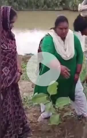 घाटमपुर: घाटमपुर तहसील में 'मां के नाम' कार्यक्रम के तहत पेड़ लगाने का हुआ आयोजन