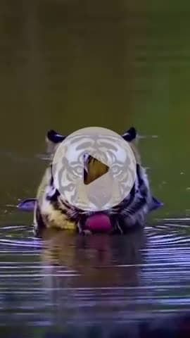 #श्रीकृष्ण #maavindhyawasini #श्रीराधे #राधेकृष्ण #radhe #hanuman #ram #hari #narayan #sitaram #ishwar #bhagvan #shiv