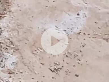 ग्रामपतिखेड़ा पोस्ट बमनौरा तहसील मालथों
जिला सागर m,p
खंबे के तार टूटे पड़े हैं नीचे 3 साल से 
mpb वाले ध्याननहीं दे रहे