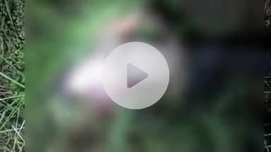 मंझनपुर: अहिरन का पुरवा में मिली कई दिन पुरानी लाश की शिनाख्त नहीं हो सकी