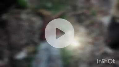 औरैया: दिबियापुर के फफूंद रेलवे स्टेशन के पास आम्रपाली एक्सप्रेस ट्रेन से कटकर अज्ञात व्यक्ति की हुई मौत, पहचान नहीं हो सकी