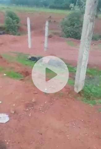 टीकमगढ़: रेलवे पुल के पास मिला एक व्यक्ति का शव, सिर पर चोट के निशान, हत्या की आशंका