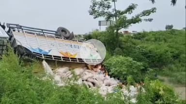 धनौरा: गजरौला नेशनल हाईवे पर ख्यालीपुर ढाल के पास अनियंत्रित होकर पलटी डीसीएम, चालक हुआ घायल