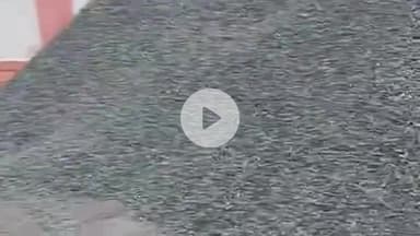 बल्दीराय: अनियंत्रित तेज रफ्तार डीसीएम ने पीरो सरैया गांव में सड़क के किनारे गिट्टी उतार रहे मजदूर को मारी जोरदार टक्कर, हुई मौत