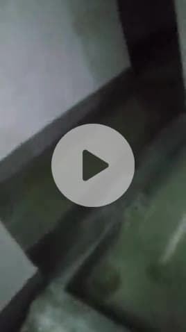 सुल्तानपुर: सुबह से हुई तेज बारिश से विवेक नगर मोहल्ला बेहाल, कई घरों में घुसा पानी, नगर पालिका की खुली पोल